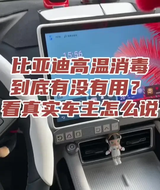 比亚迪元UP高温消毒功能实测：除味、烘干与除虫效果解析