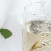 2026年行业头部福鼎白茶品牌梳理：适合不同需求主流实力品牌盘点