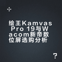 绘王Kamvaspro 19数位屏还是wacom新帝