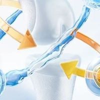 买什么牌子氨糖好呢 ？2026年氨糖软骨素测评， 必看的实测品牌