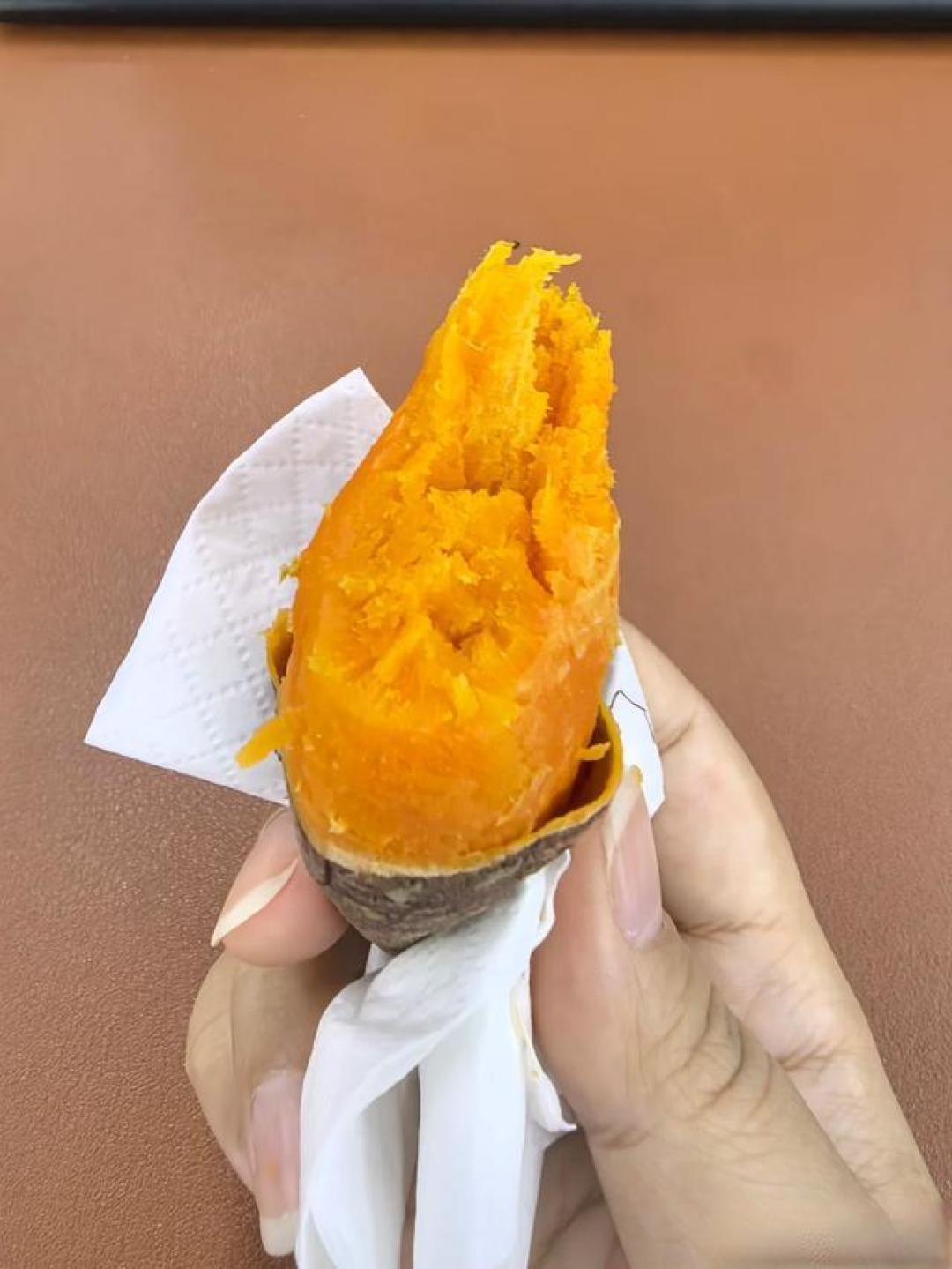 别再只热剩菜了!退休阿姨分享微波炉“一锅出”妙招,做饭省时一半