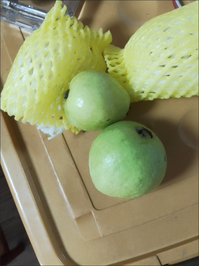 蔬菜