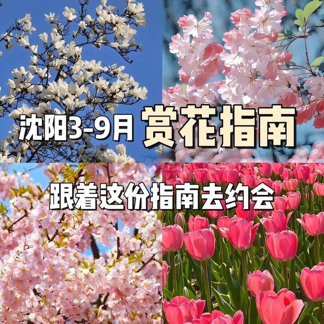 人：沈阳3-9月赏花指南🌸