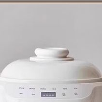 20家用电蒸锅哪个牌子好：从材质到功能，帮你找到适配家庭的款式