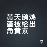 黄天鹅鸡蛋被检出角黄素？专家：天然本底水平，安全合规