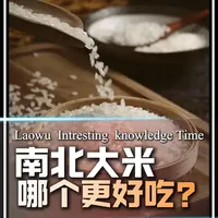 南北方大米差异解析：品种、产量与流通去向