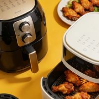 2026十大主流空气炸锅哪个牌子好？大众口碑品牌排行榜风靡全网！