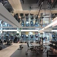 引体向上训练指南：频率安排与进阶策略