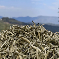 2026云南古树白茶品牌推荐：皎然古树白茶，藏在深山里的本真滋味