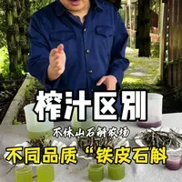 铁皮石斛鲜条品质对比：青条、白条与紫条的区别