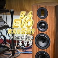 2万左右推荐：英国乐富豪EVO 5.4 三分频落地音箱