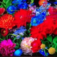 Rtings榜单首位被国产电视TCL拿下了！