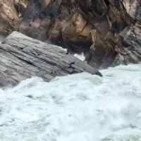 虎跳峡高路：新手友好却暗藏消耗陷阱，适合谁走、谁该绕道？