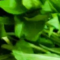 春日马兰头的多样家常做法