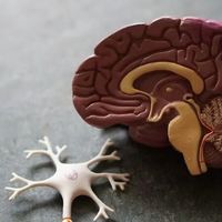 男士核心精力重塑指南
