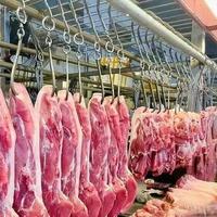 猪肉价格跌至7年新低：国家紧急收储背后的市场博弈