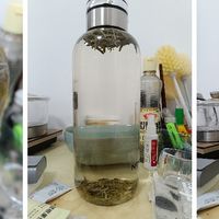 冷泡茶经验：大玻璃冷泡容器以及白毫银针的选择与冲泡