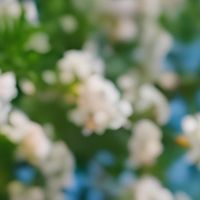 春日换新：从户外到室内