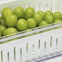 春日厨房焕新｜保鲜盒换新，新鲜不串味！