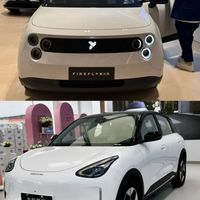 鸥太小海豚太贵，这台没什么人聊的车悄悄卖了46万台