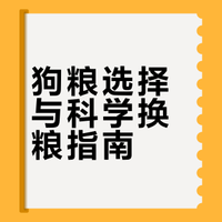 狗粮避坑指南，90%新手都中过