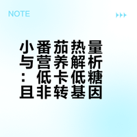小番茄热量与营养解析:低卡低糖且非转基因