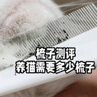 梳子测评，养猫的你需要多少梳子？
