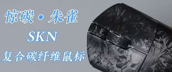 【ROLL同款】百元内的碳纤维鼠标！复合碳纤维+3315传感器+53g超轻量化 — 复合碳纤维轻量化游戏鼠标 SKN 惊碳•朱雀