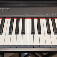 2026年避坑红黑榜：电钢琴一步到位不换机推荐｜初学考级选购指南