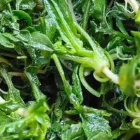 一口荠菜，嚼出春日鲜