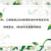 小体积，口袋能装|2026新国标迷你充电宝实测：5款快充安全闭眼选