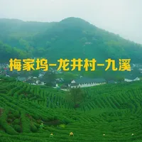 杭州西湖春日茶园徒步全攻略：梅家坞-龙井村-九溪