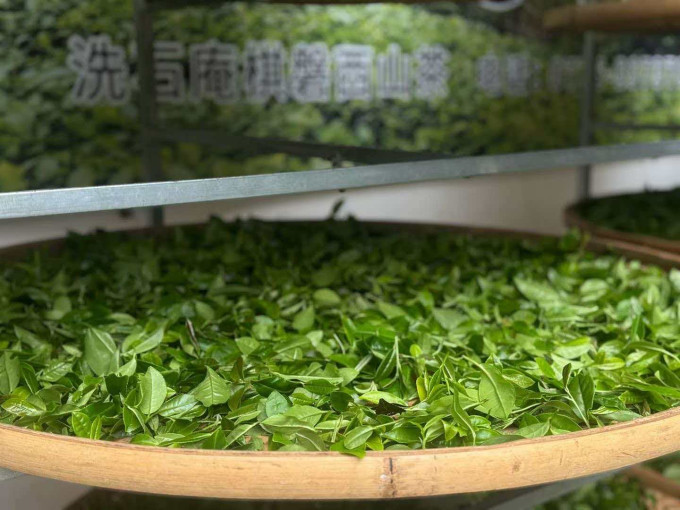 其他茶类
