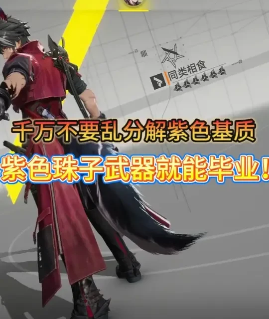 明日方舟终末地：武器词条选择与升级策略详解