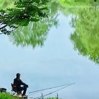 野钓连竿爆护秘籍：新手闭眼入的高活性鱼区识别+装备避坑指南