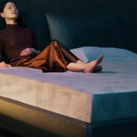 解锁深度睡眠密码，告别睡眠困扰！2026高品质软床推荐