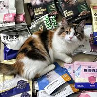 猫粮选购看品牌，更要看生产工厂是哪家！