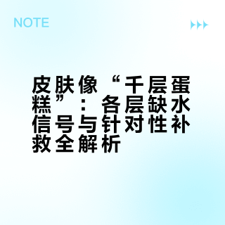 皮肤像“千层蛋糕”：各层缺水信号与针对性补救全解析