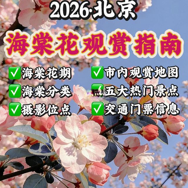 🌸2026·北京 | 海棠观赏指南「探春系列-4」