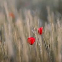 荣事达冰柜容积缩水40%，揭开家电市场两大新乱象