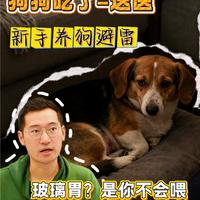 说点你不知道的——狗狗少食清单