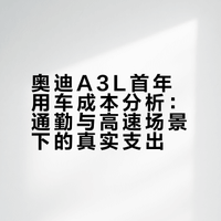 奥迪A3l新车第一年需要多少钱