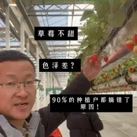 草莓品质提升策略:从糖度色泽调控到数据化种植
