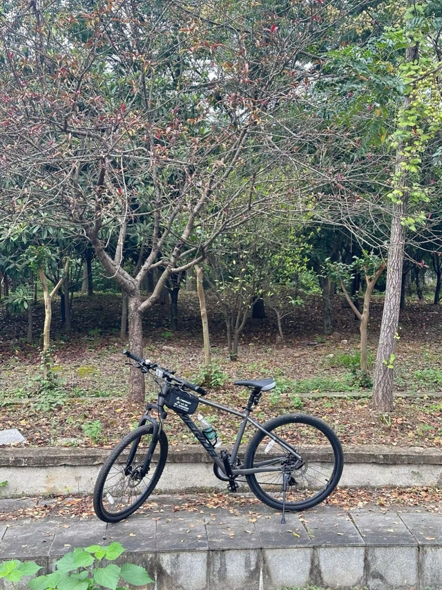 闲鱼捡大漏——买捷安特上瘾了