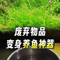 019期--滤材篇(四)鱼缸滤材不用买!生活废品秒变“净水神器”,DIY教程全攻略