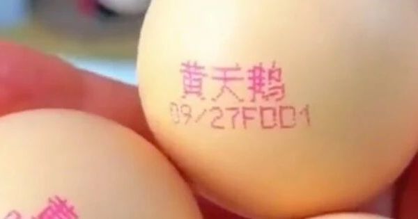 鸡蛋“颜色迷信”背后！王海团队回应胖东来