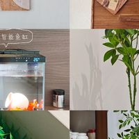 硬装不够，软装来凑！低成本美化全屋！
