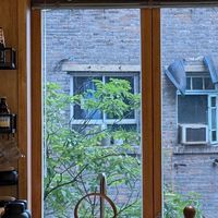 OpenClaw：高效处理工作琐事