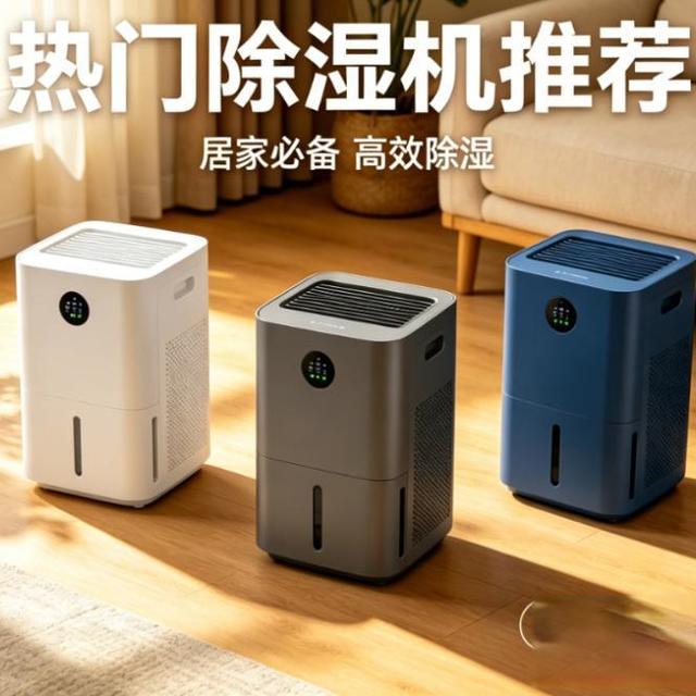 南方回南天，除湿机是鸡肋还是必备？