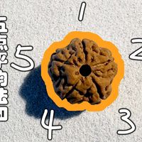 「小金刚菩提」研究之——五点平均法和筛网法测量宽度的具体的区别、两种绳子的区别、介绍无相星月菩提（内含文玩抽奖）